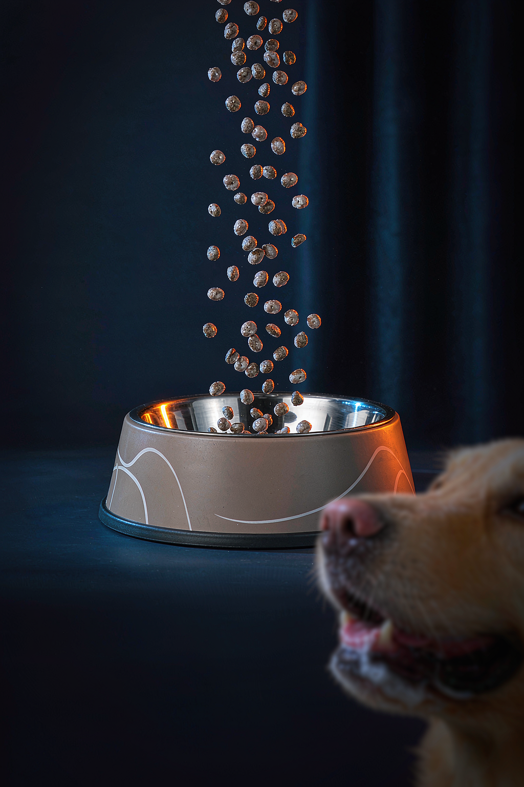 Pet Supplies concept frame